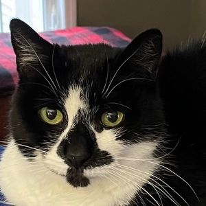 Meet your Posher, Christine